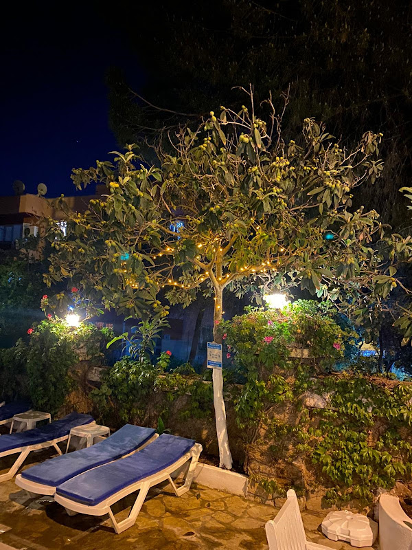 Unver Hotel