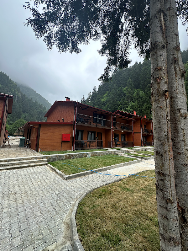 Vadi bungalow