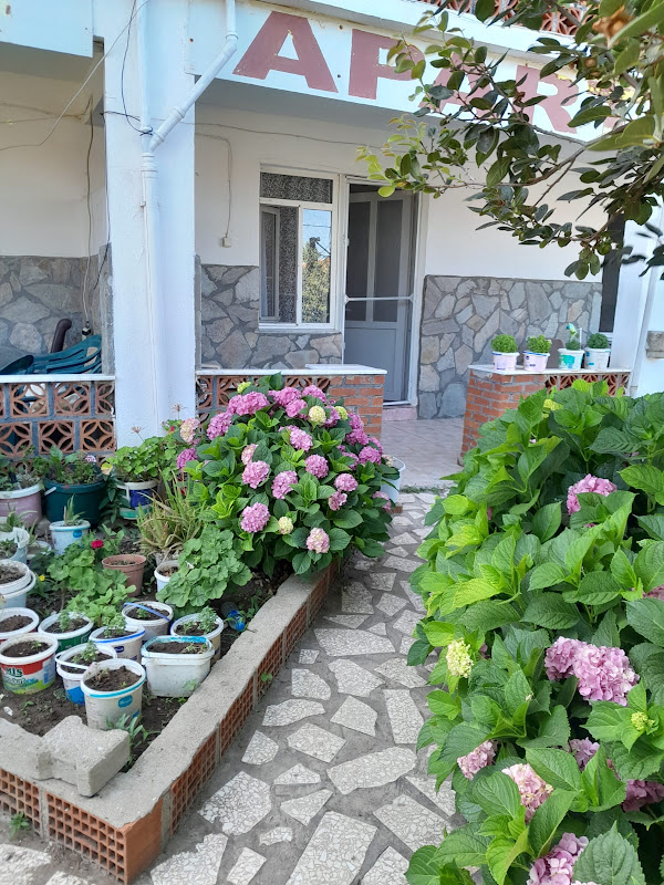 Altin Pension
