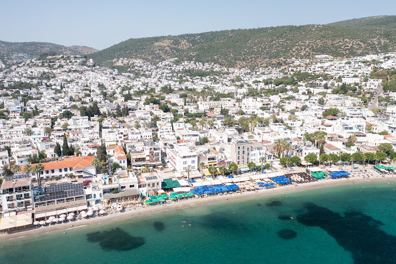 Artemis Otel Restaurant