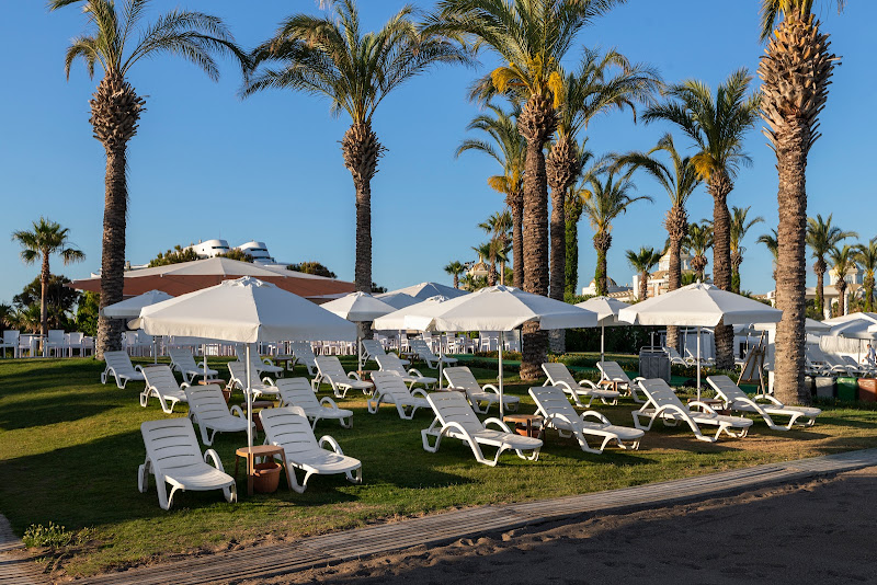 Miracle Hotel