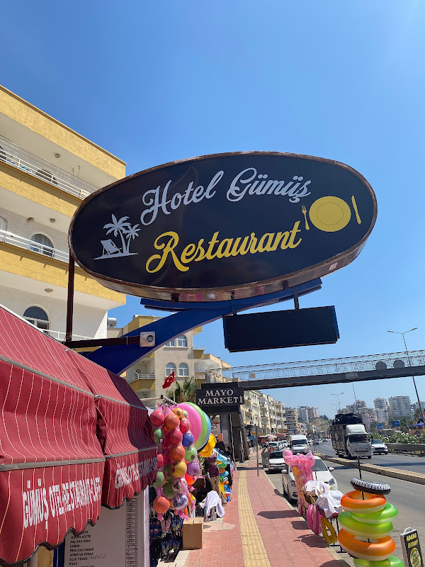HOTEL SILVER