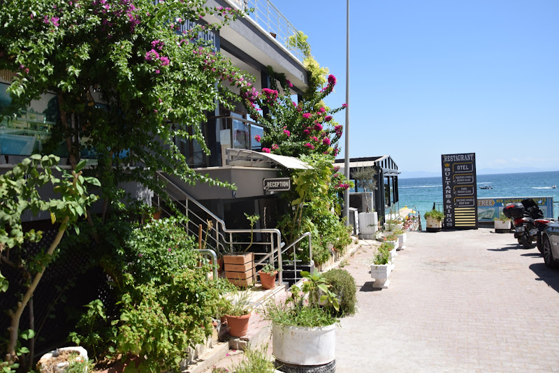 Sultans & Kings Hotel