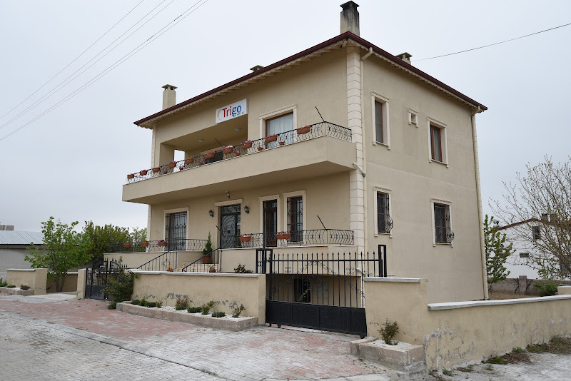 trigo hotel