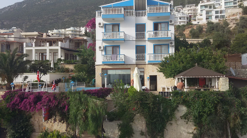 butterfly Hotel
