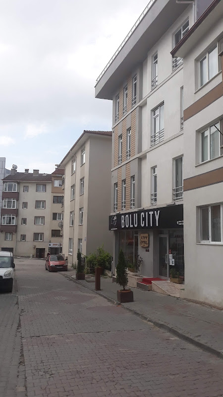 Bolu City Hotel
