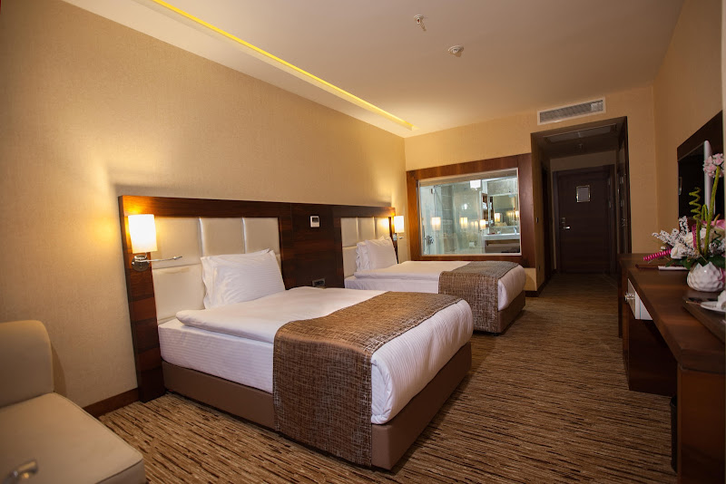 Mitannia Regency Hotel