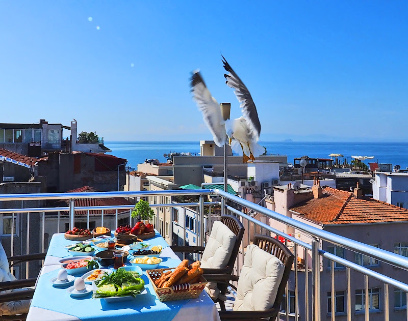 The Sunrise Hotel