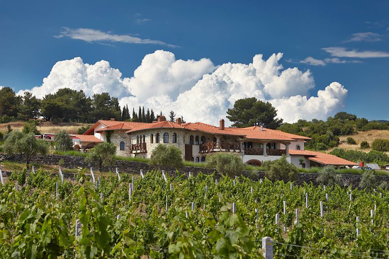 Vinifera Vineyards Hotel