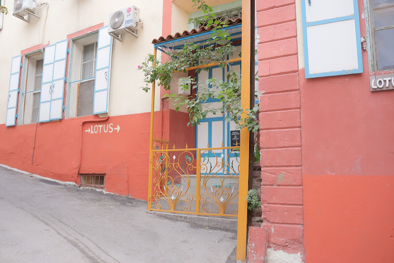 Lotus Garden Hostel