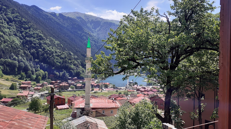 GRANOĞLU PANSİYON